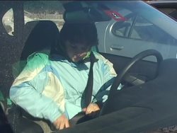 Healthy Nervous and Endocrine Systems: Summing Up Instructional Video