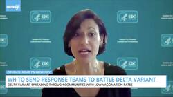 White House To Send Response Teams To Battle Delta Variant News Clip