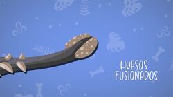 I WONDER - How Did The Ankylosaurus Use Its Tail? Me Pregunto - Cómo Usaba El Anquilosaurio Su Cola? Instructional Video