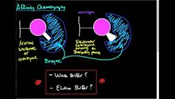 Interpreting an Affinity Chromatogram Instructional Video