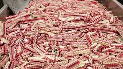 Candy Cane Ribbons Stock Footage