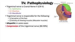 Trigeminal Neuralgia (“Severe Facial Pain”): Causes, Pathophysiology, Symptoms, Diagnosis, Treatment Instructional Video