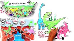 Mass Extinction Crisis TODAY Instructional Video