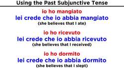 Past Subjunctive Tense in Italian: Congiuntivo Passato Instructional Video