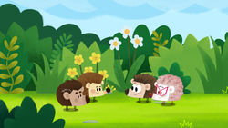 Follow the Hedgie Instructional Video