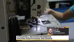 Biden Signs Law Punishing China for Uyghur Treatment News Clip