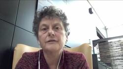 EU border countries must not legalise migrant pushbacks, says MEP News Clip