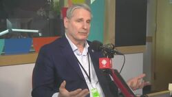 Lawyer explains what Canadian goods are covered by 35% U.S. tariffs News Clip