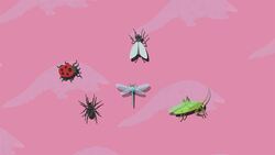 I WONDER - How do Pangolins Protect Themselves? Instructional Video