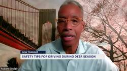 AAA: Deer more likely to run into traffic during mating season News Clip