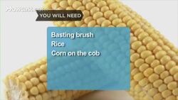 How to Make Grilled Shrimp Instructional Video