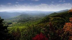 The Essential Role of Biodiversity in Ecosystems and Human Life Instructional Video