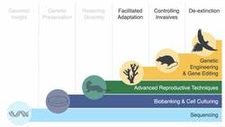 TED: The intended consequences of helping nature thrive | Ryan Phelan Instructional Video