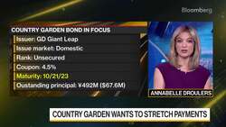 Country Garden Faces More Debt Tests Monday News Clip