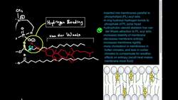 Cholesterol Structure (Part 2 2) Instructional Video