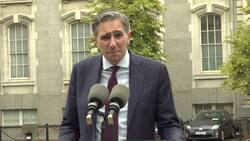 Tanaiste comments after India Day in Ireland postponed following ‘spate of attacks’ on community News Clip