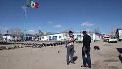 CLEAN : Migrants stranded at border since 2019 under "Remain in Mexico" policy News Clip