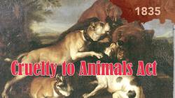 Bizarre History of The Rat Catching Profession Instructional Video