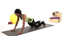 How to Do a Plank Tap Plyometric Exercise Instructional Video