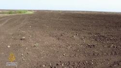 Farmers fleeing fighting: Food shortages loom as agriculture takes a hit Instructional Video