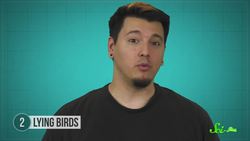 6 Animals That Have Evolved to Steal Instructional Video