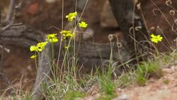 Hike to Waterfalls in Nambe Pueblo in New Mexico Instructional Video