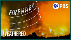 Extreme Wildfire: Deadly, but Not for the Climate? Instructional Video