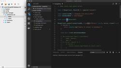 The ObjectID Instructional Video