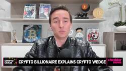 Swedish Billionaire Makes Money Even in Bear Crypto Market News Clip