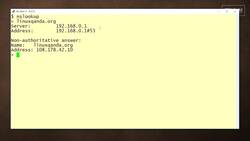How to use the nslookup command: 2-Minute Linux Tip Instructional Video