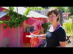 Raising Backyard Chickens - Certain Coop Considerations Instructional Video