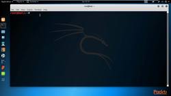Bug Bounty Program Certification 8.2: Find Bug and Hack Database of a Website Using Kali Linux Tools Instructional Video