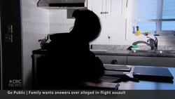 Teen says she was groped on a flight and airline didn't help enough News Clip