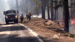 Rim Fire Instructional Video