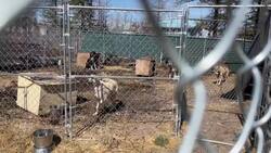 Enterprise, N.W.T. still recovering nearly 2 years after devastating fire News Clip