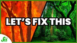 Our Roadmap to Fix Climate Change | SciShow News Instructional Video