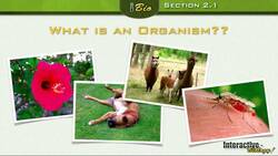 Principles of Ecology - Organisms and the Environment Part 1 Instructional Video