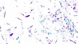 Moving abstract geometric pattern. Stock Footage