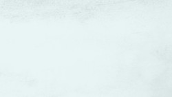 Demystified: What's the Difference Between Rabbits and Hares? Instructional Video