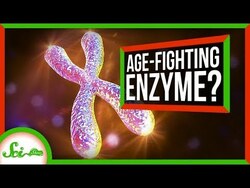 A Cancer Gene May Be More Friendly Than We Thought | SciShow News Instructional Video