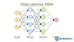 Data Science and Machine Learning (Theory and Projects) A to Z - Deep Learning Overview: Introduction to Deep Neural Networks (DNN) Instructional Video