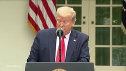 Trump Says He’s Halting Payments to WHO News Clip