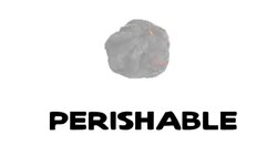 Learn English Words - Perishable Instructional Video