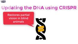 Scientific achievements of 2016! Instructional Video