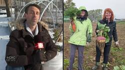 ‘God planted a seed’: Church garden in Goulds grows 1,500 kg of food for food banks News Clip