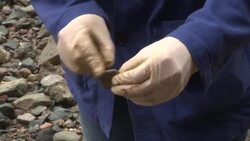 VOICED : Mudlarks unearth the past on London's riverbanks News Clip