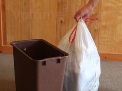 Exploring Solids, Liquids, and Gases: Solids Instructional Video