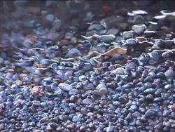 Weathering and Soils: Weathering Instructional Video