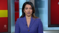 Former Manitoba reservist linked to neo-Nazi group arrested in U.S. News Clip