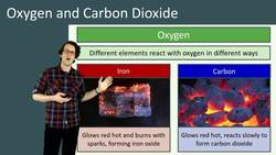 The Composition and Reactions of Oxygen and Carbon Dioxide in the Atmosphere Instructional Video